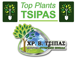 Top Plants TSIPAS - Πρότυπη Φυτωριακή Μονάδα Χρ. Β.Τσιπάς